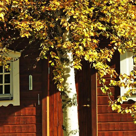 Cottage On Wild River In Lapland/Sweden Karlsten Bagian luar foto