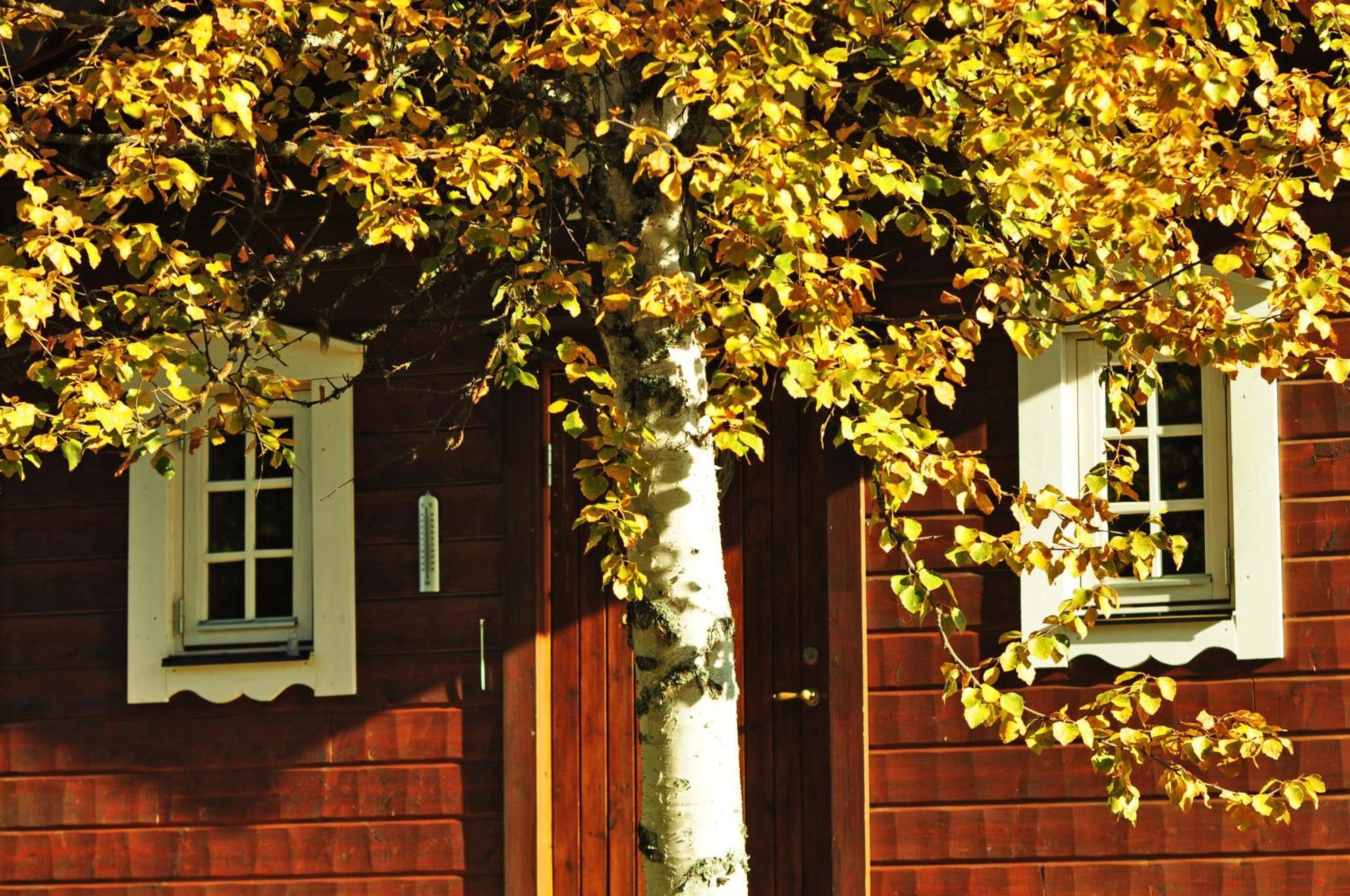 Cottage On Wild River In Lapland/Sweden Karlsten Bagian luar foto