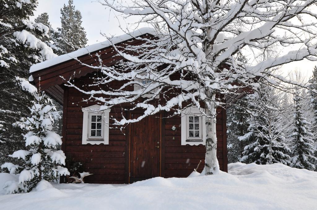 Cottage On Wild River In Lapland/Sweden Karlsten Ruang foto